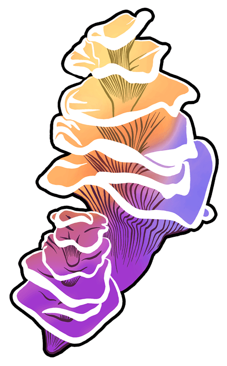 Purple Yellow Tall Fungi