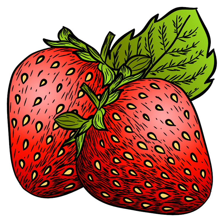 Strawberry Illustration