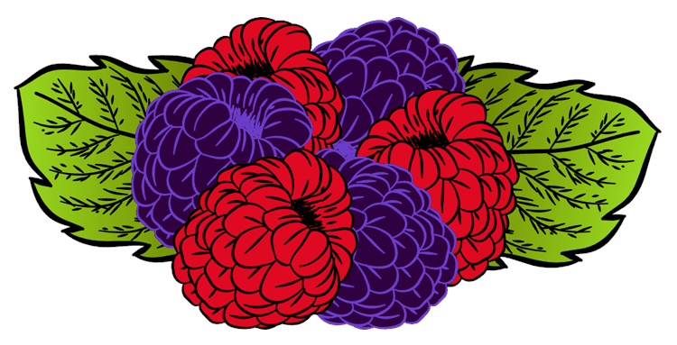 Raspberry Illustration