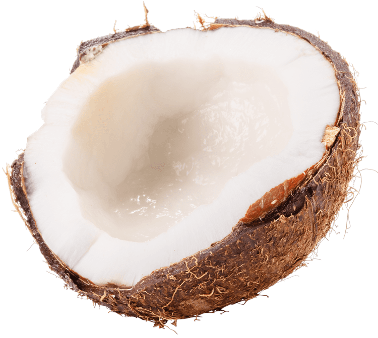 Coconut Opened
