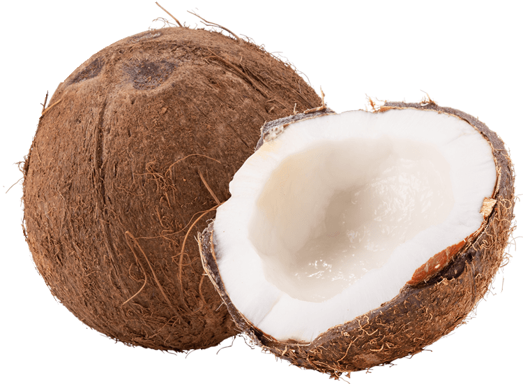 Coconut Whole and Opened
