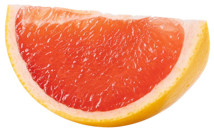 Grapefruit Slice