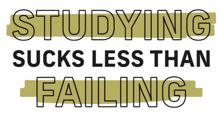 School Studying Sucks Less Than Failing