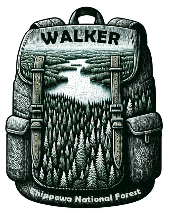 Chippewa National Forest