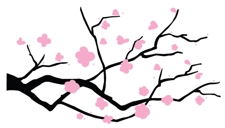 Cherry Blossom Flowers