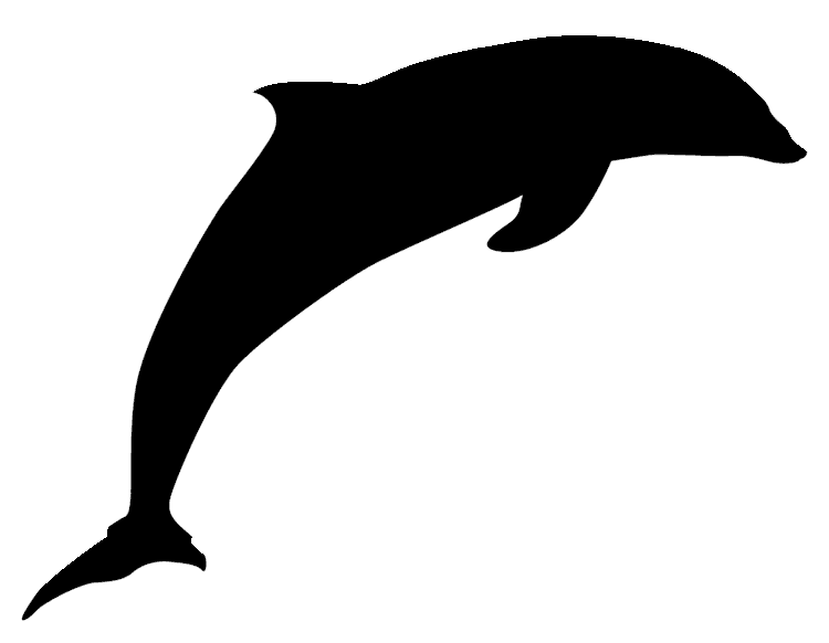 dolphin