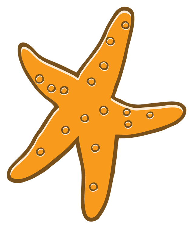 starfish-1