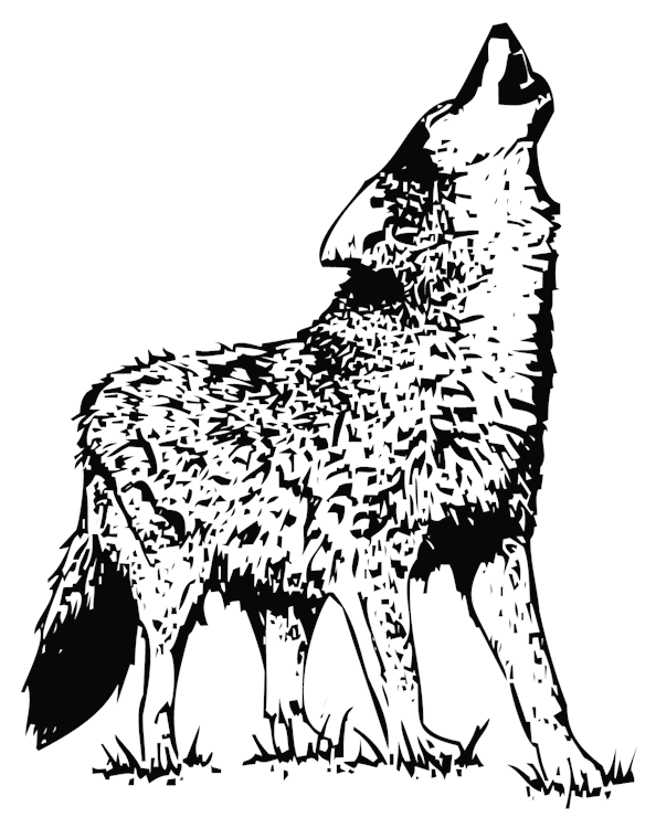 Wolf Howling