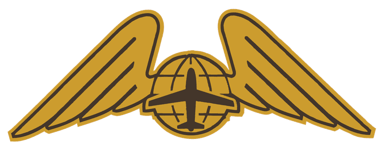 Air Plane Angel Wings