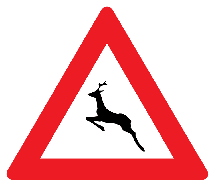 deercrossing